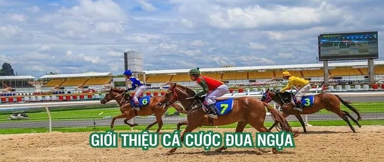 Khám Phá Thế Giới Cá Cược Đua Ngựa Tại 79WIN Đầy Thú Vị